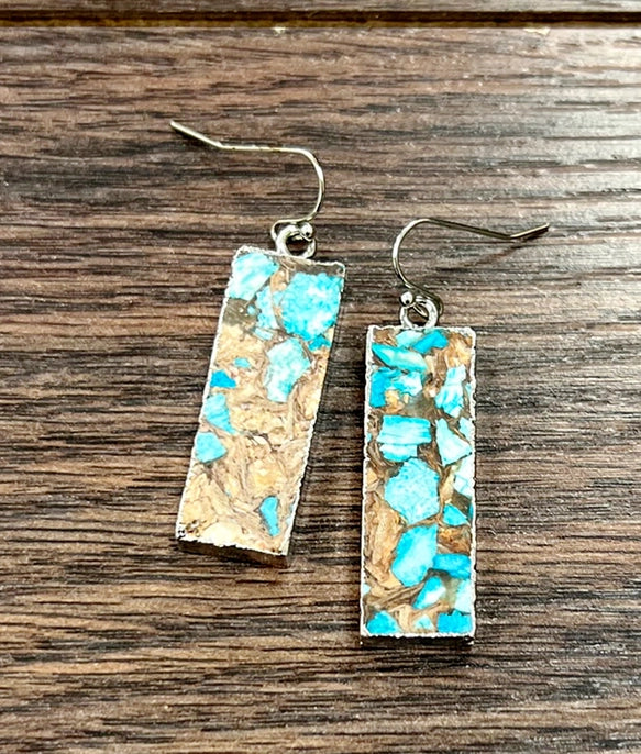 Tan and Turquoise Bar Earrings
